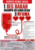 PROGRAM DERMA DARAH
